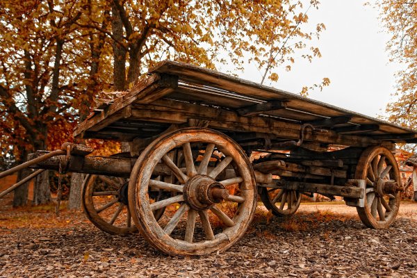 Как загрузить фото в мегу