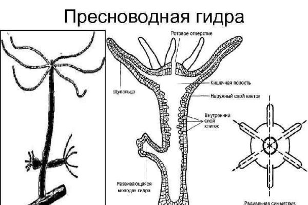 Вы забанены на блэкспрут что это означает