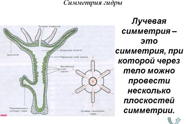 Прямая ссылка на kraken